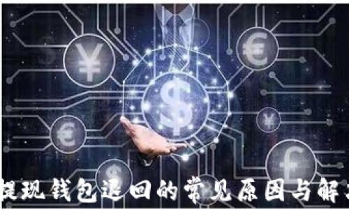 
USDT提现钱包退回的常见原因与解决方案