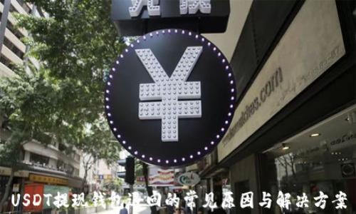 
USDT提现钱包退回的常见原因与解决方案