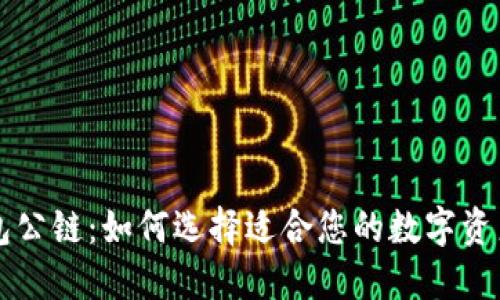 区块链钱包公链：如何选择适合您的数字资产管理工具