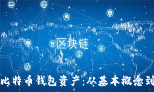   
如何有效挖掘比特币钱包资产：从基本概念到策略实用解析