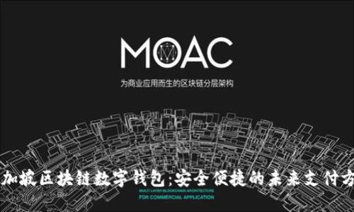 新加坡区块链数字钱包：安全便捷的未来支付方式