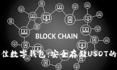 : 选择最佳数字钱包：安全存储USDT的实用指南