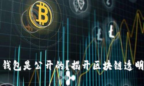 为什么比特币钱包是公开的？揭开区块链透明性背后的秘密
