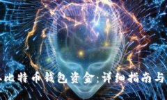 如何获取比特币钱包资金：详细指南与实用技巧