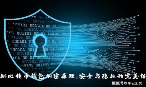 揭秘比特币钱包加密原理：安全与隐私的完美结合