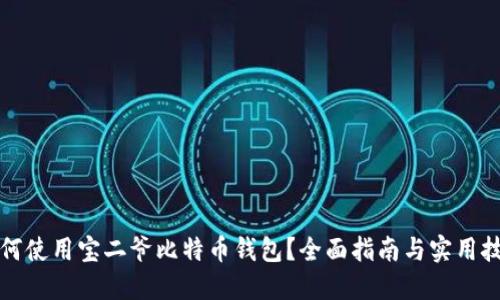 如何使用宝二爷比特币钱包？全面指南与实用技巧