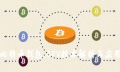 探索比特币钱包：SPV技术解析与应用前景
