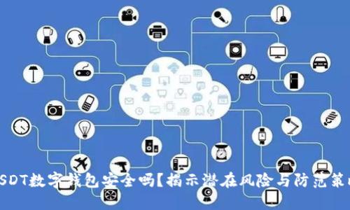 USDT数字钱包安全吗？揭示潜在风险与防范策略