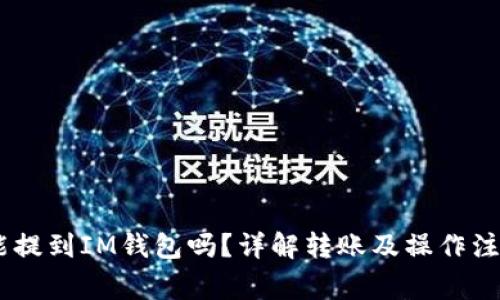 USDT能提到IM钱包吗？详解转账及操作注意事项