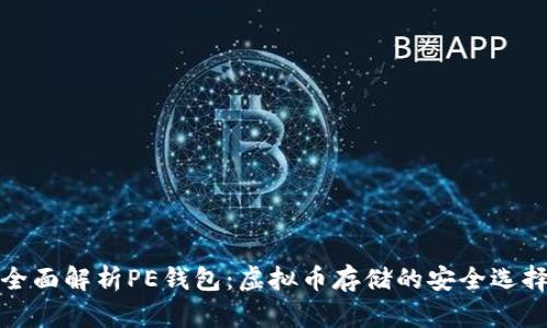 全面解析PE钱包：虚拟币存储的安全选择