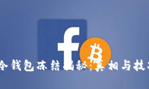 USDT冷钱包冻结揭秘：真相与技巧揭晓