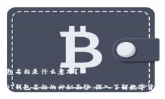 USDT钱包名称是什么意思？揭开USDT钱包名称的神秘