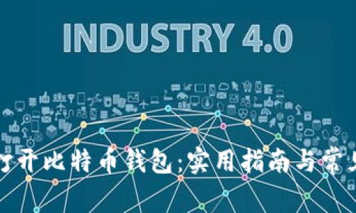 如何快速打开比特币钱包：实用指南与常见问题解答