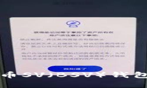 深入解析比特币SV（BSV）钱包的功能与特点