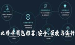 最权威的比特币钱包推荐：安全、便捷与流行趋