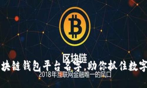 十大创意区块链钱包平台名字，助你抓住数字货币的未来