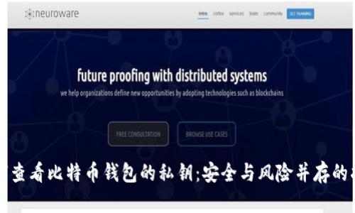 如何查看比特币钱包的私钥：安全与风险并存的指南