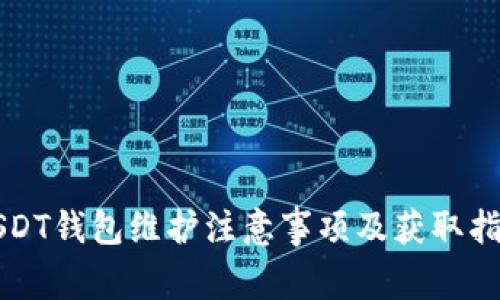 USDT钱包维护注意事项及获取指南