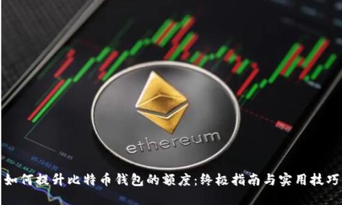 如何提升比特币钱包的额度：终极指南与实用技巧