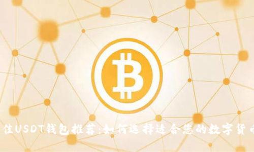 2023年最佳USDT钱包推荐：如何选择适合您的数字货币存储工具