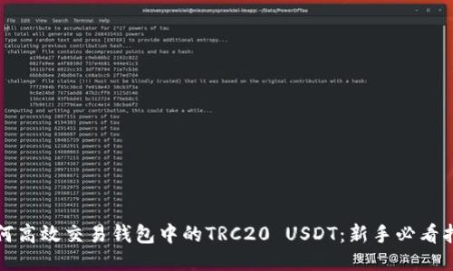 如何高效交易钱包中的TRC20 USDT：新手必看指南