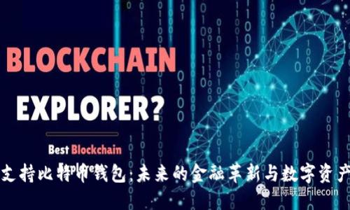 特斯拉如何支持比特币钱包：未来的金融革新与数字资产时代的来临