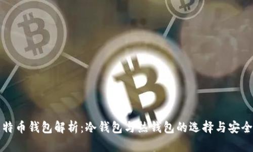 比特币钱包解析：冷钱包与热钱包的选择与安全性