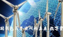 探索宋锡亭的太坊钱包与星交所的未来：数字资