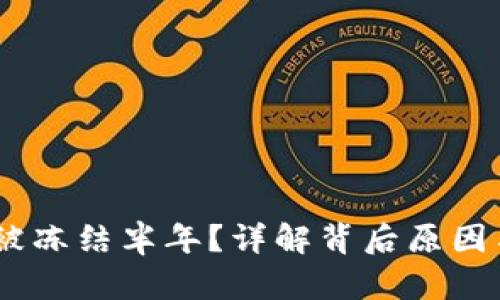 USDT钱包被冻结半年？详解背后原因与解决方案