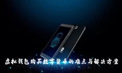 虚拟钱包购买数字货币的难点与解决方案