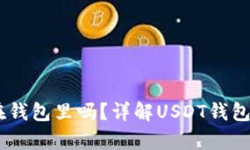 USDT可以存放在钱包里吗？详解USDT钱包的运用与安全性