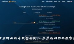 如何应对比特币钱包丢失：一步步找回你的数字