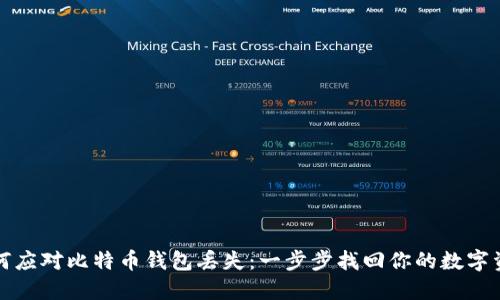 如何应对比特币钱包丢失：一步步找回你的数字资产