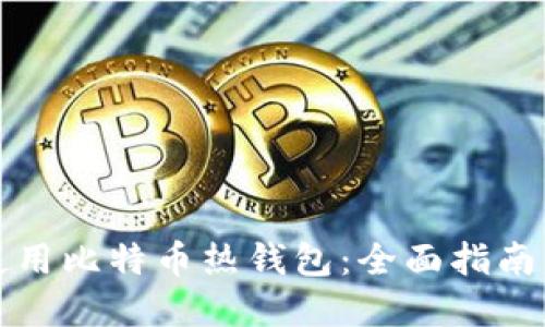 如何安全使用比特币热钱包：全面指南与实用技巧