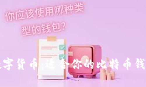 探索台湾数字货币：适合你的比特币钱包选择指南