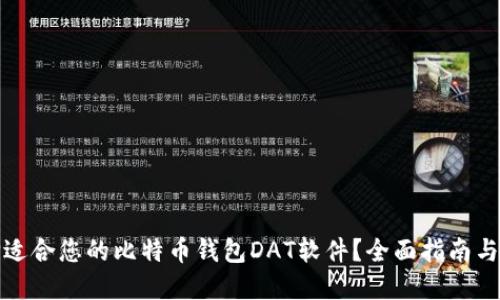 如何选择适合您的比特币钱包DAT软件？全面指南与实用建议