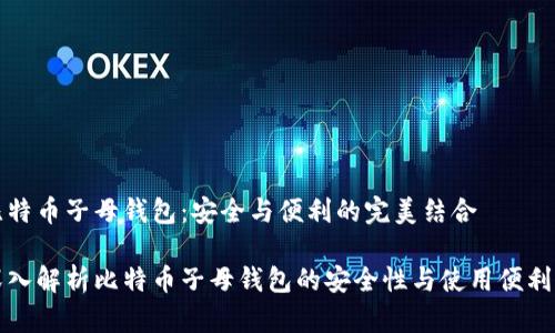 比特币子母钱包：安全与便利的完美结合

深入解析比特币子母钱包的安全性与使用便利性