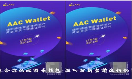 选择最适合你的比特币钱包：深入分析当前流行的钱包类型