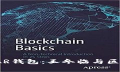 : 深入解析YSTAR钱包：王冬临与区块链的未来趋势