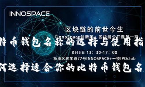 比特币钱包名称的选择与使用指南

如何选择适合你的比特币钱包名称？