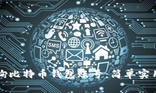 如何查询比特币钱包账号：简单实用的指南