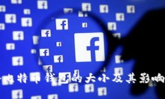 揭秘比特币钱包的大小及其影响因素