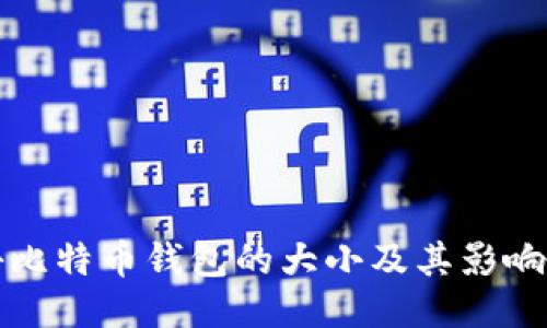 揭秘比特币钱包的大小及其影响因素