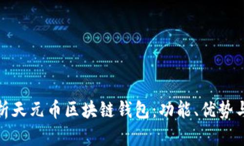 全面解析天元币区块链钱包：功能、优势与安全性