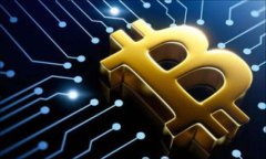 USDT钱包能接收哪些币种？全面解析与使用指南