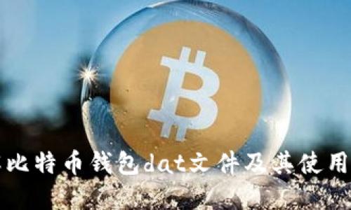 详解比特币钱包dat文件及其使用指南
