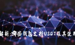 全面解析：哪些钱包支持USDT及其使用指南