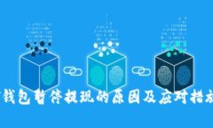 USDT钱包暂停提现的原因及应对措施分析