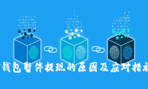 USDT钱包暂停提现的原因及应对措施分析