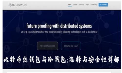 比特币热钱包与冷钱包：选择与安全性详解